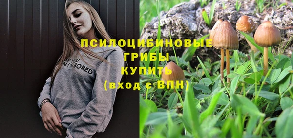 бошки Богородск