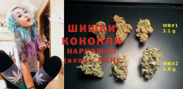 мескалин Богородицк