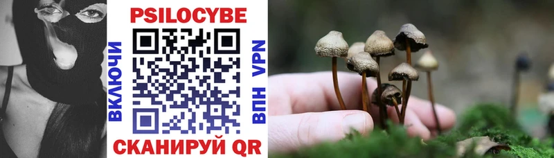 Псилоцибиновые грибы Psilocybine cubensis  Сургут 